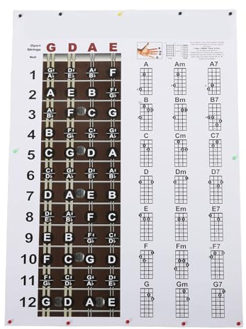 Mandolin Chord Poster, Clear Chord Charts and Fingerings for Mandolin Players Visual Aid for Music Theory and Practice