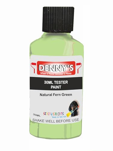 SCOOBYS PAINTS BACK IN THE MIX Chalk Emulsion Matt Paint, Water-Based, No Primer Required, For Walls and Furniture Light Green, (Natural Fern Green, 30ml Colour Tester)