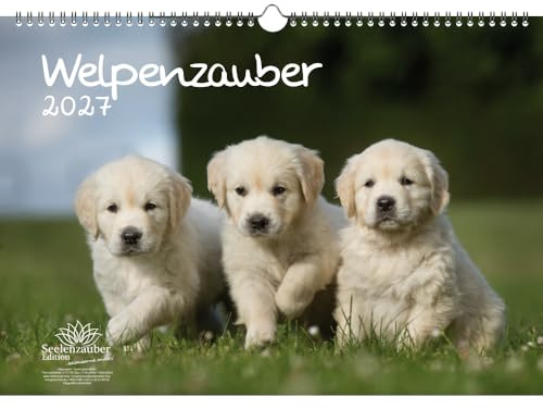 Welpenzauber DIN A3 Kalender für 2027 Hunde Welpen - Seelenzauber