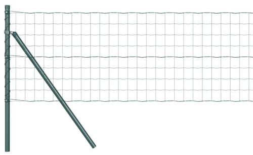 vidaXL Eurozaun mit 7 Pfosten, 25 x 0,8 m, Metall, Grün | UV-beständiger und langlebiger Sichtschutzzaun, perfekt für Gartenbegrenzungen oder zur Unterstützung von Sichtschutzpaneelen auf Terrassen.