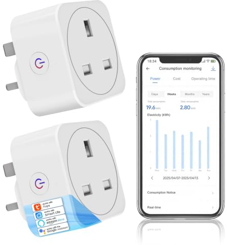 QUEENWEN Smart Plug, Timer Plug Socket UK With Energy Monitoring | Smart Socket with Alexa Google, Remote Control & Schedule Timer, WiFi Plug for Household Appliances, 2.4Ghz