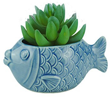 VanEnjoy Sukkulentententopf aus Keramik, 12,7 cm, niedliche Meeresblaue Muschel-Serie, Conch geformter Kaktus Topf Pflanzgefäß Blumentopf Keramik Bonsai Topf (Muschel M)