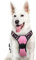 Eagloo Hundegeschirr Grosse Hunde, Anti Zug Hundegeschirr mit Reflexstreifen und Kontrolle, Verstellbar und Einstellbar Geschirr Hund Groß, Brustgeschirr für Labrador, Rosa, XL