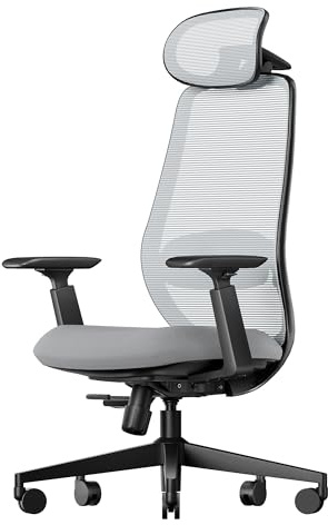 ProtoArc EC200 Ergonomic Office Desk Chair with Adjustable Seat Depth, Grey | High Back Mesh Computer Chair with 2-Way Lumbar Support, 3D Headrest, Swivel Base, 4-Position Recline, for Home Office Work