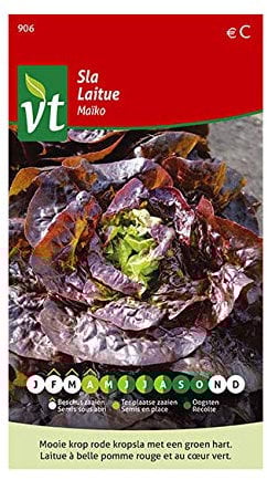 Laitue Maiko Graines - Laitue pommée compacte du type ‘rougette’