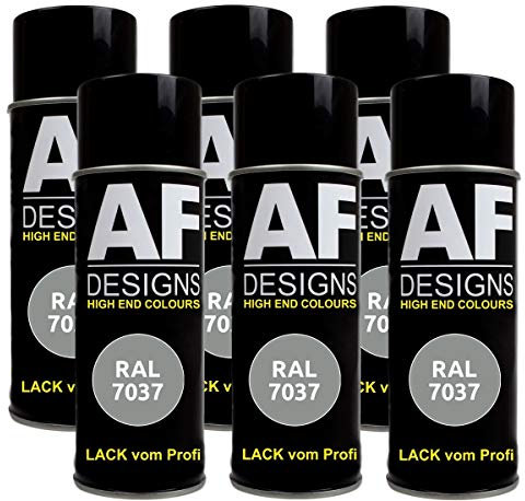 6 X RAL vernice spray per auto vernice colorata vernice spray RAL 7037 grigio polvere opaco
