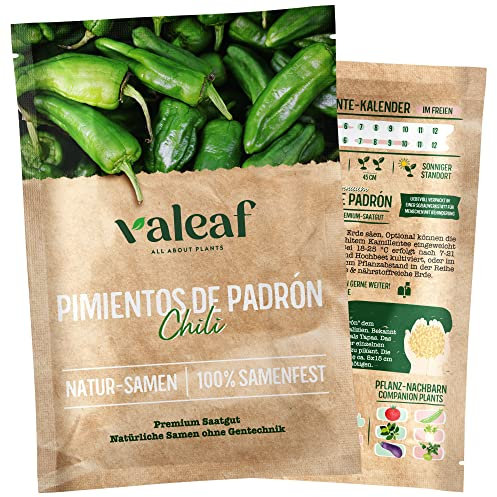 valeaf Chili Samen I Premium Chilisamen zur Chili Anzucht I Von scharf bis mild I Chili-Vielfalt als samenfestes Chili Saatgut I Pflanzen Samen zum Chili Pflanzen (Chili Pimientos de Padrón)