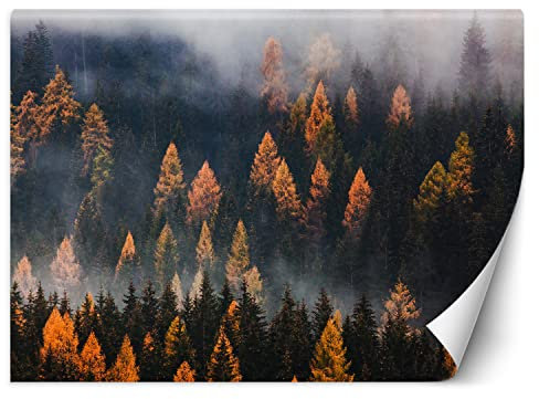 Feeby Fototapete Wald im Nebel 250x175 cm Grün XXL Vlies Wandtapete Tapeten Wohnzimmer Schlafzimmer Jugendzimmer Moderne Design Wandbild Wand Dekoration Landschaft Natur
