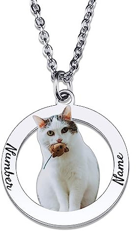 OTXIXTO Personalizzato Gatto Cane Animale Domestico Ritratto Immagine e Nome Ciondolo Collana Regalo Commemorativo per l'amante Dell'animale Domestico (2 Nomi, Cornice Rotonda)