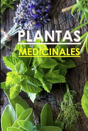 PLANTAS MEDICINALES: propiedades curativas