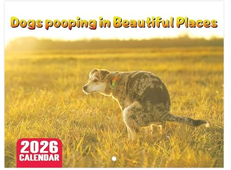 Mainiusi Kackende Hunde Kalender 2026, Lustige Hundekalender 2026 Dogs Pooping in Beautiful Places, Pooping Dogs Kalender 2026 Tiere Kackende Hundekalender Calendar 2026(Gelb)
