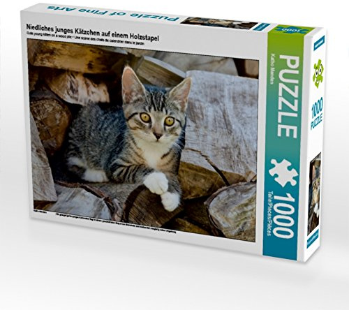 CALVENDO Puzzle Niedliches junges Kätzchen auf einem Holzstapel 1000 Teile Puzzle quer | Lege-Größe cm Foto-Puzzle für glückliche Stunden