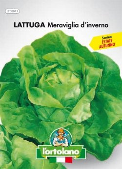 L'ORTOLANO Sementi Orticole Di Qualità In Busta Termosaldata (160 Varietà) (Lattuga Meraviglia D’Inverno)
