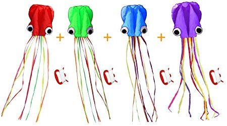 Winterworm Lot de 4 Grands Cerfs-Volants en Soie avec Planche Cerf-Volant Chinois Simple à Piloter Cerf-Volant pour mémoire Parent-Enfant débutant