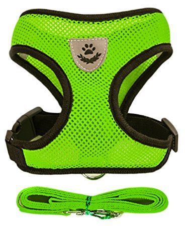 Air Mesh Hundegeschirr Atmungsaktiv Welpengeschirr für Klein Hunde Vest Harness Brustgeschirre Haustier Softgeschirr mit 1,1M Hundeleine Führleine Schleppleine (S, grün)
