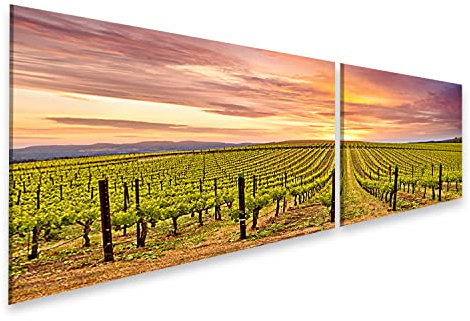 islandburner Bild auf Leinwand Napa Valley Vineyards Frühling Sonnenuntergang Kalifornien Weinberge California Bilder Wandbilder Poster ISCN-2K