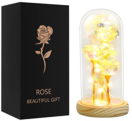 Rose Eternelle Sous Cloche Lumineuse Fleur éternelle Cadeau pour Femme Maman Mère Grand-mère, Cadeaux de Fleurs de Roses pour Anniversaire,Mariage,Noel,La Saint-Valentin,Fête des Mères (Argenté)