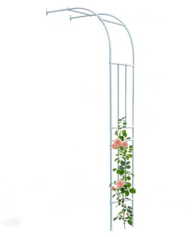 Blanche Demi-arche de jardin contre le mur, Arceau à rosiers Demi-côté en métal, H 240 cm, petit treillis, tonnelle robuste pour grimpants décoration garage terrasse, Montage Mural(Blanc,H240x L60cm)