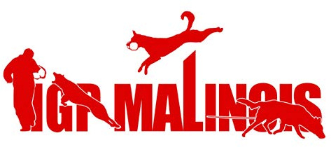 siviwonder Auto Aufkleber IGP ST Schrift Belgian Malinois Autoaufkleber K9 Hundeanhänger ehemals IPO Hundesport Hundemotiv rot
