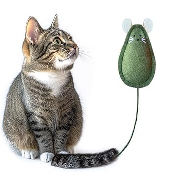 Mox Petish Jouet herbe à chat, souris en feutre, fait à la main, naturel et durable, jouet à l'herbe à chat, vert, 16 x 8 cm