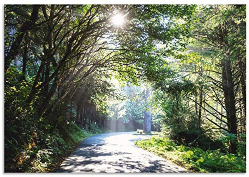 ARTland Wanddeko Wandbild Alu Verbundplatte für Innen & Outdoor Bild 130x90 cm Querformat Landschaft Wald Natur Bäume Frühling Sonne U1TD