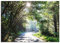 ARTland Wanddeko Wandbild Alu Verbundplatte für Innen & Outdoor Bild 130x90 cm Querformat Landschaft Wald Natur Bäume Frühling Sonne U1TD
