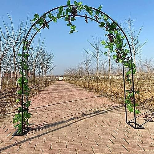 Arche de jardin large en aluminium, arche à rosiers en métal, filet pour plantes grimpantes, treillis, pour la récolte des concombres, légumes, vignes, plantes grimpantes (couleur : noir, taille : 1