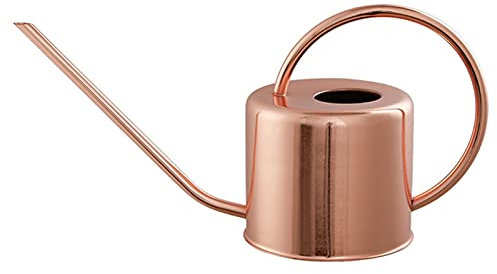 Thaoxl Annaffiatoio da 1200 ml in Acciaio Inossidabile Spazzolato,annaffiatoio per Piante in Metallo retrò in Stile Nordico,Adatto per succulenti Fiori da Giardino Bonsai(Sabbia Rosso Rame)