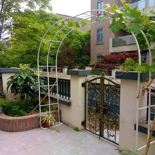 Arco per Rose per Piante Rampicanti Metallo Arco Resistente Alle Intemperie Arco da Giardino Padiglioni Largo 80-350cm per Matrimoni, Festa,giardino(White,180x250cm/5.9x8.2ft)