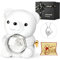 Jibeufi Teddy Bear with Preserved Rose, Flower Forever in Bear with Necklace and Elegant Gift Box for Women, Romantic Bear Roses Gifts for Valentines Day Mothers Day Anniversary Day Birthday (White)