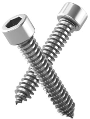 Rummyluck Edelstahl Selbstschneidende Schrauben Innensechskant Holzschrauben M1.7x12mm (100 Stück)