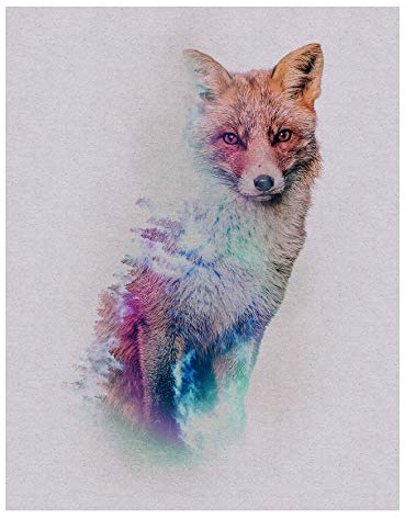 Komar Wandbild | Animals Forest Fox | Poster, Bild, Wohnzimmer, Schlafzimmer, Dekoration, Kunstdruck | ohne Rahmen | P084B-40x50 | Größe: 40 x 50 cm (Breite x Höhe)