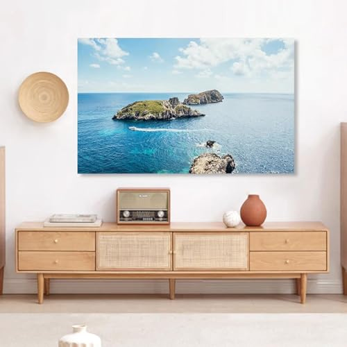 Tv-staubschutz Für Den Innenbereich, 19–100 Zoll, Tv-Abdeckung Für LCD/led, Schutzhülle, Display-schutzhülle, Staubdicht, Tv-bildschirmschutz, Schlafzimmer, Wohnzimme(Size:100IN(W222xH125CM),Color:B)