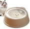 Pet Water Bowl Nourriture lente qui ne renverse pas et ne renverse pas - Anti-Choc - Bol d'hydratation sans pointe pour chiens et chats - Base non glissante - Distributeur d'eau flottant pour