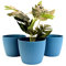 Home Garden Ornaments Petit Pot de Fleur Interieur - Pots de Fleurs Exterieur - Rayés et Petit Pot Plante Intérieur Lot de 3 - Décoratif Pot de Fleur Exterieur (Diamètre: 15.5cm, Couleur: Bleu Marine)
