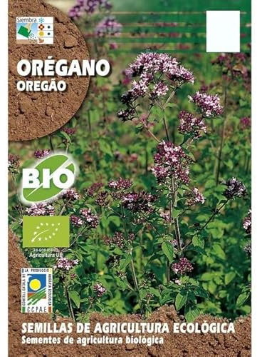 Semillas para Sembrar Orégano en Casa, Terraza y Jardín Hierba Aromática