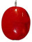 France Minéraux Pendentif Corail rouge - Pierre plate