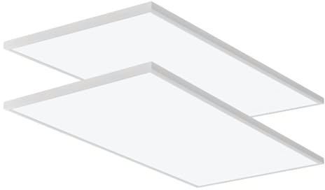 Lithonia Lighting 2x4 LED Flat Panel Light 4000 Lumens 3500/4000/5000K 2pk