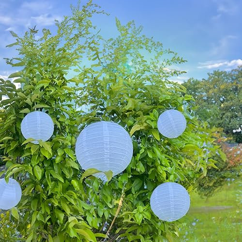 Meisax 10 Stücke Papier Laterne Lampions 10 (25 cm), rund Lampenschirm Dekoration Papierlaterne für Hochzeit Freier Geburtstag Party Garten (weiß)
