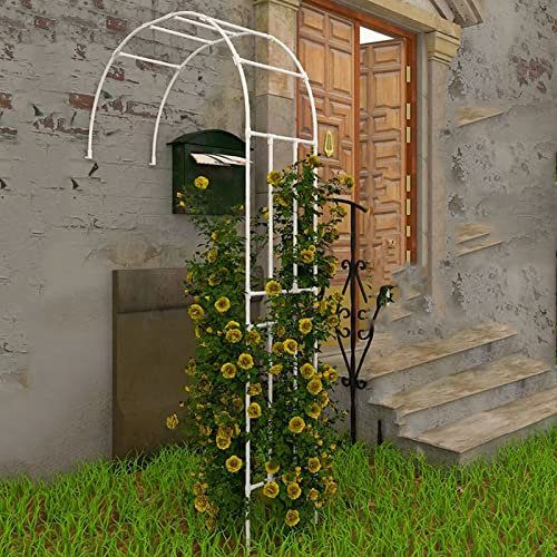 Arche de rose en métal pour jardin extérieur élégante Demi-arche de jardin parfaite pour plantes grimpantes Support d'arbre Blanc 280 x 240 cm