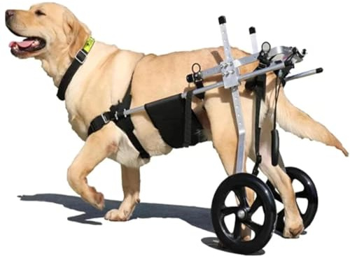 Generisch Großer Hunde-Rollstuhl für die Hinterbeine, Deutscher Schäferhund Labrador Gehhilfe/Hundewagen mit 2 Rädern, verstellbare Hundehalterungen unterstützen Mobilitätshilfen,XXL