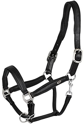 Marengos - Halfter Soft Comfort aus Leder – Pferdehalfter mit weich gepolstertem Nasenriemen & Genickstück – edles Lederhalfter – Pferde Zubehör in Schwarz – Vollblut