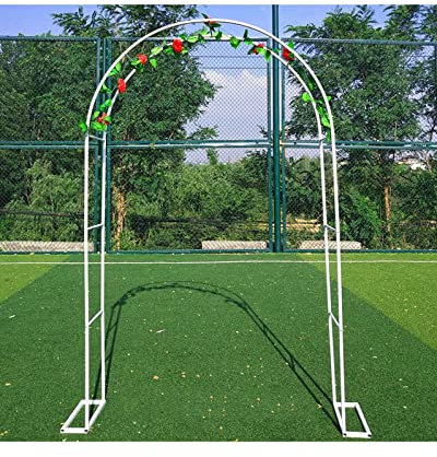 DJZZ Torbogen für Hochzeit Weiss Rankhilfe Rosenbogen Metall Gartenbogen Pergola Verzinkt Rankgitter für Rosen Kletterpflanzen 200cm 160cm 80cm 350cm 300cm breit (Größe : B120 x H220cm)