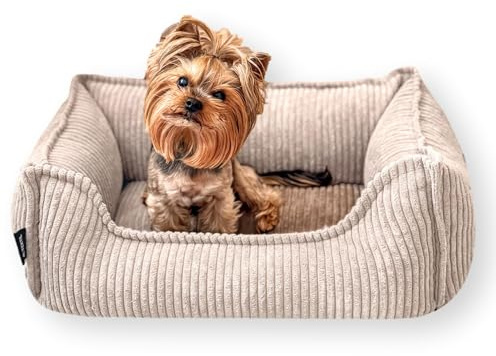 4L Textil Kuscheliges Hundebett aus Cord Hugo Premium-LINE Hundekörbchen orthopädisch für kleine Hunde Hundebett mit Bezug Memory Foam Hundesofa flauschig(Beige, 60x40 cm)