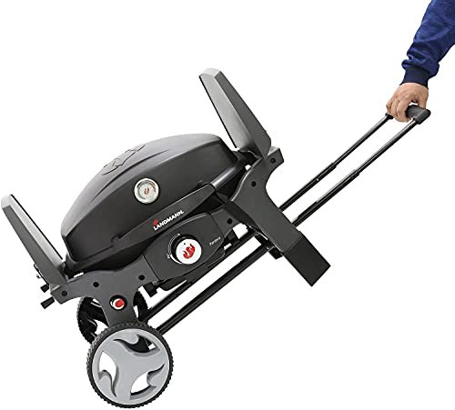 LANDMANN Pantera Kit Transport-, schwarz, 63 x 51 x 20 cm