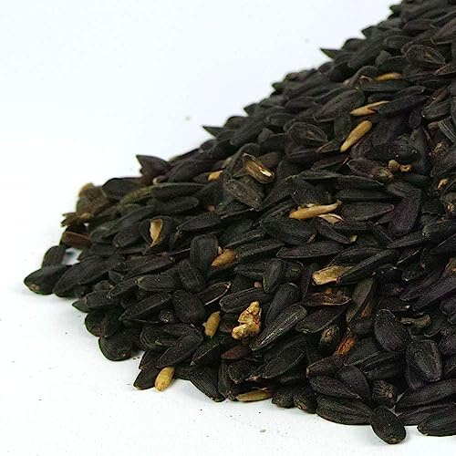 Graines de Tournesol Noir GardenersDream - Nourriture Riche en Huile pour Les Oiseaux Sauvages du Jardin (25kg)