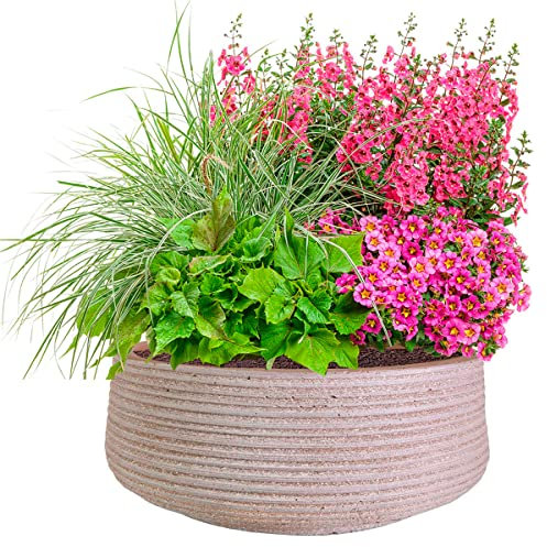 IDEALIST 12 Inch Garden Bowl Planter | Ribbed Taupe Reinforced Stone Succulent Plant Pot | Bonsai Pot with Drainage Holes D31 H12 cm, with Inner Top D27 cm, 6 litres