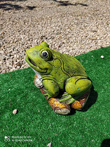 AnaParra Gartenfigur Frosch, 13 x 19 cm. Beton, dekorative Stein-Zapfsäule 19 x 13 cm. in Stein für den Garten | dekorative und wetterfeste Figur