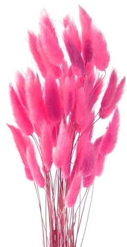 Yeehliny Pflanzenstiele, ländlicher Stil, Hasenschwanz Trockenblumen Deko ewig haltbar Pampasgras & getrocknete Blumen Pampasgras Trockenblumenstrauß Vase Deko,50 Stück (Rosarot)