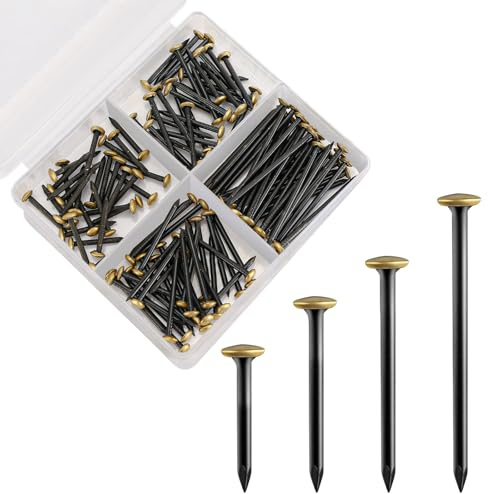 120 Pezzi Chiodi Per Quadri, Chiodi In Acciaio, 20/25/30/40mm Lunghezza | Con Testa Dorata, Per Appendere Quadri E Cornici Su Cemento, Mattone, Intonaco E Legno, Senza Foratura Con Scatola